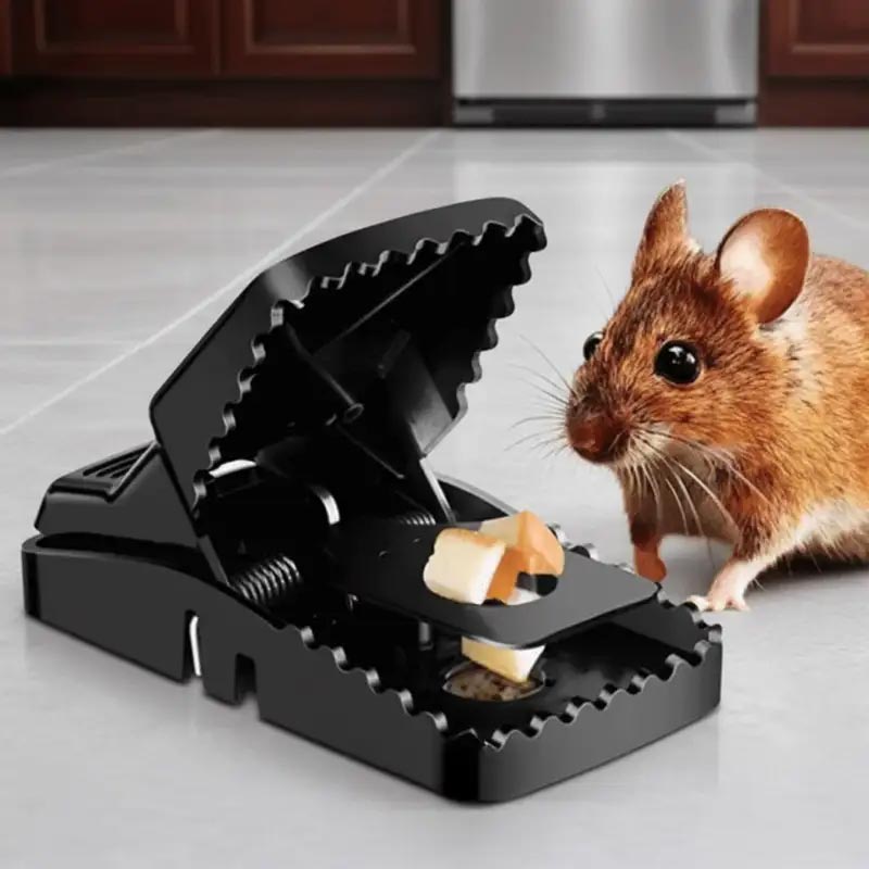 ইঁদুরের ভয় আর নয়, এখন ঘর হবে নিরাপদ ও পরিষ্কার।